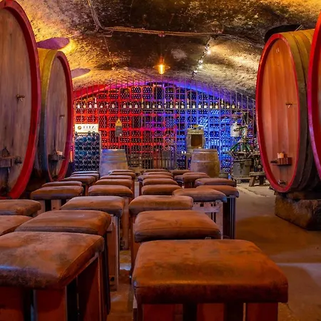 Im Weingut Fitz-ritter Apartment *