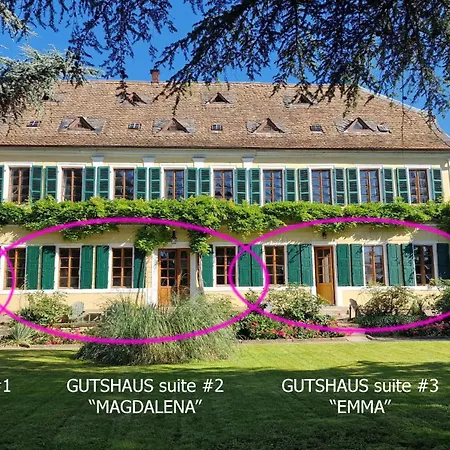 Im Weingut Fitz-ritter Apartment