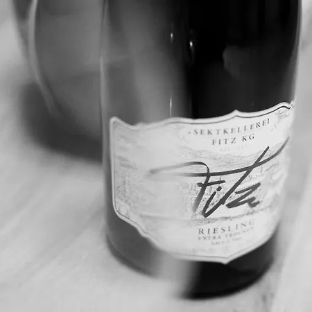 Im Weingut Fitz-ritter Apartment