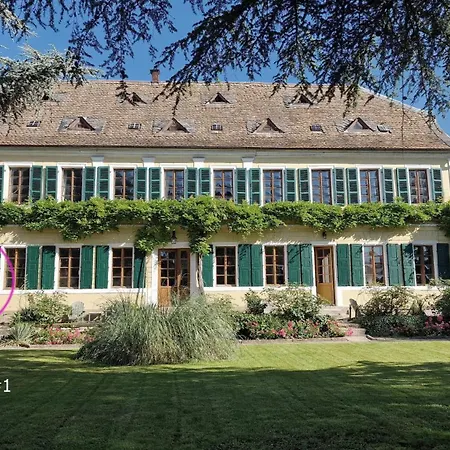 Im Weingut Fitz-ritter Bad Dürkheim