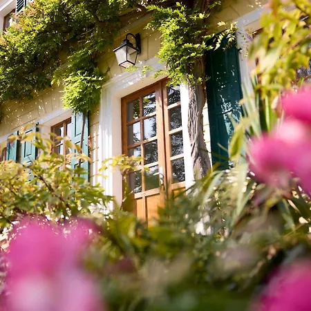 Im Weingut Fitz-ritter Appartement
