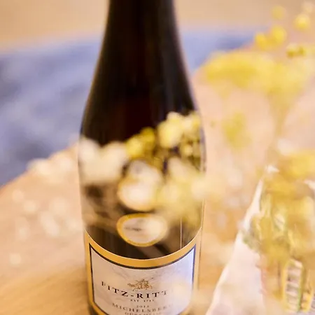 Im Weingut Fitz-ritter Apartment