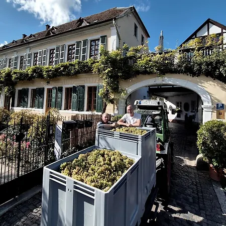 Im Weingut Fitz-ritter Bad Dürkheim