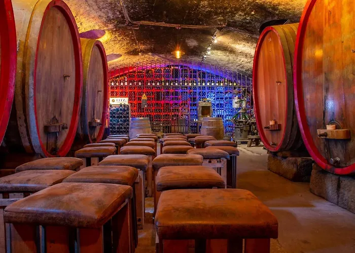 Im Weingut Fitz-ritter 公寓 *