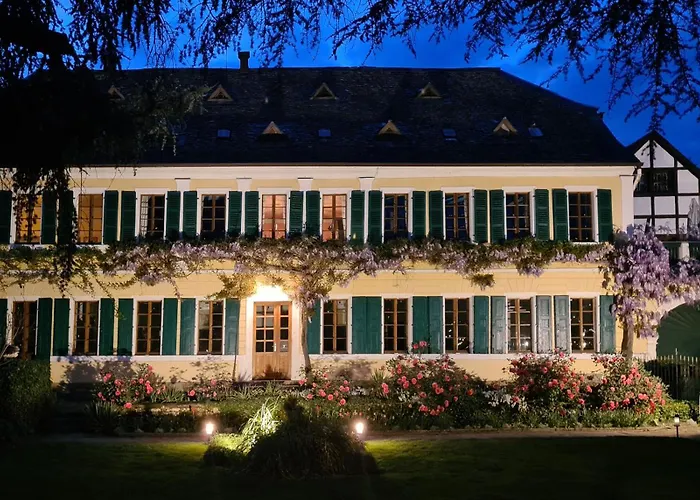 Im Weingut Fitz-ritter 公寓 巴特迪克海姆