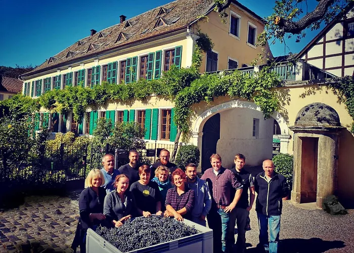 Im Weingut Fitz-ritter 아파트