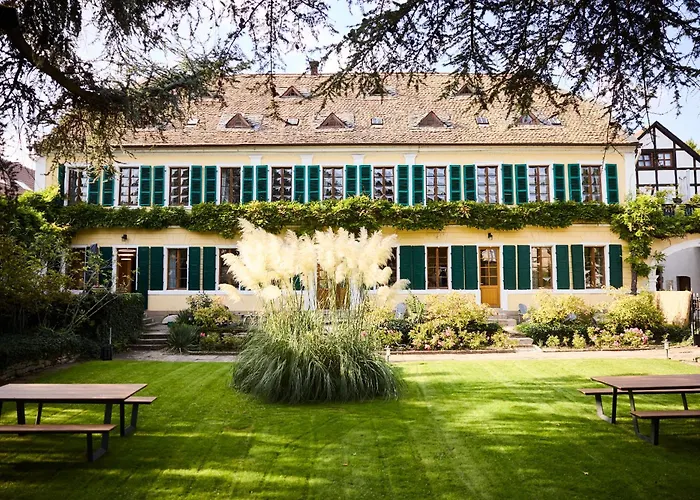 Im Weingut Fitz-ritter * 바트두르크하임