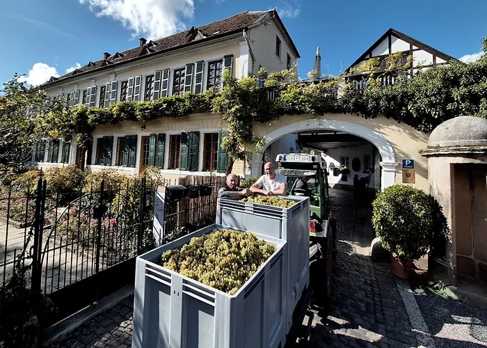 Im Weingut Fitz-ritter 바트두르크하임